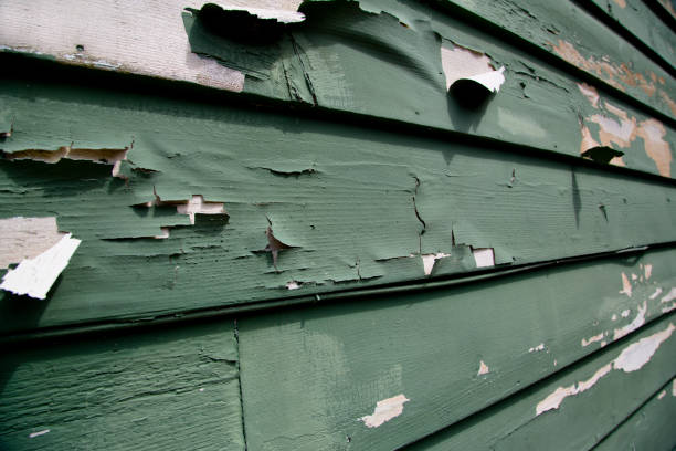 Best Shed Removal  in Bakersfield, CA